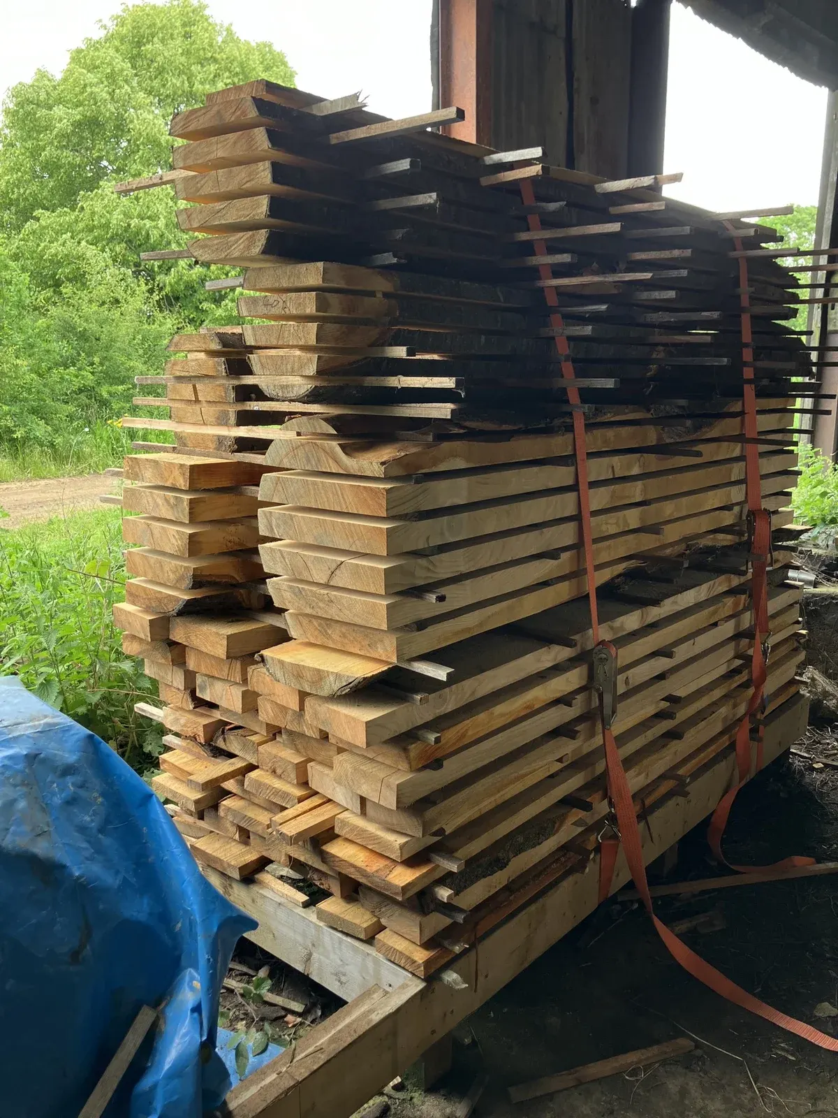 Freshly milled English cherry boards stickered and stacked for air drying, showing the warm grain of the timber