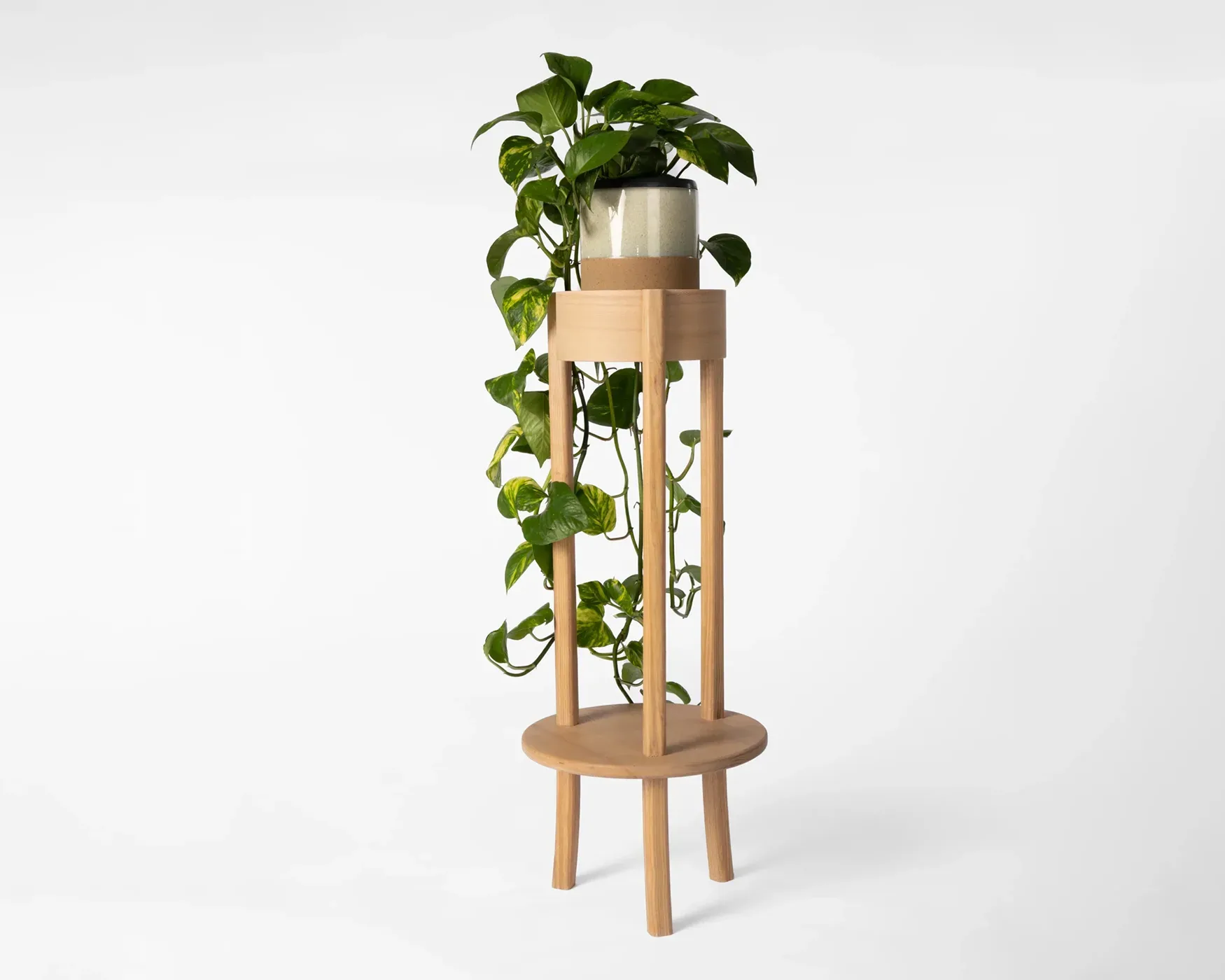 Plant Stand