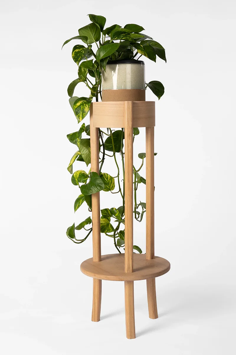 Plant Stand