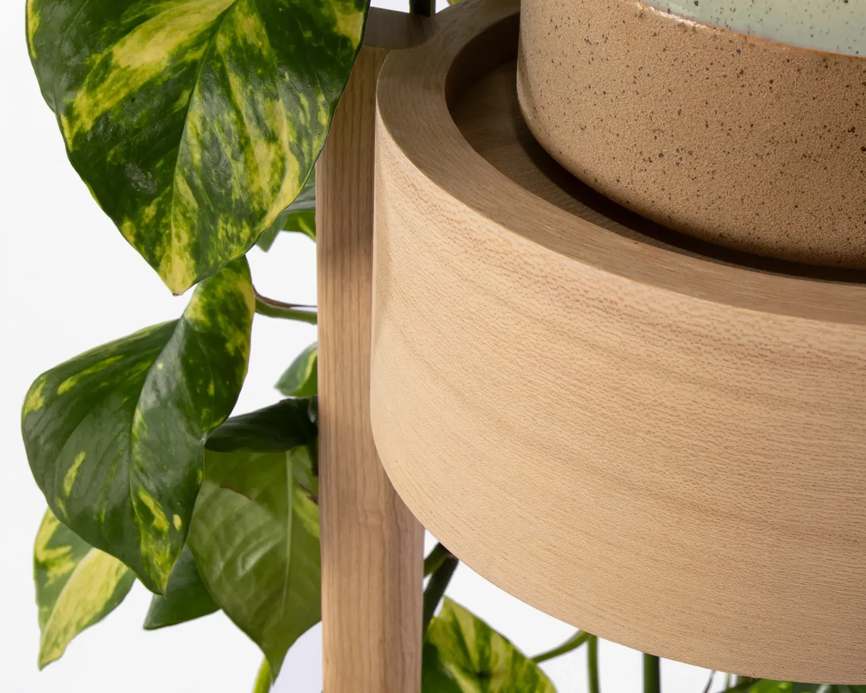 Plant Stand
