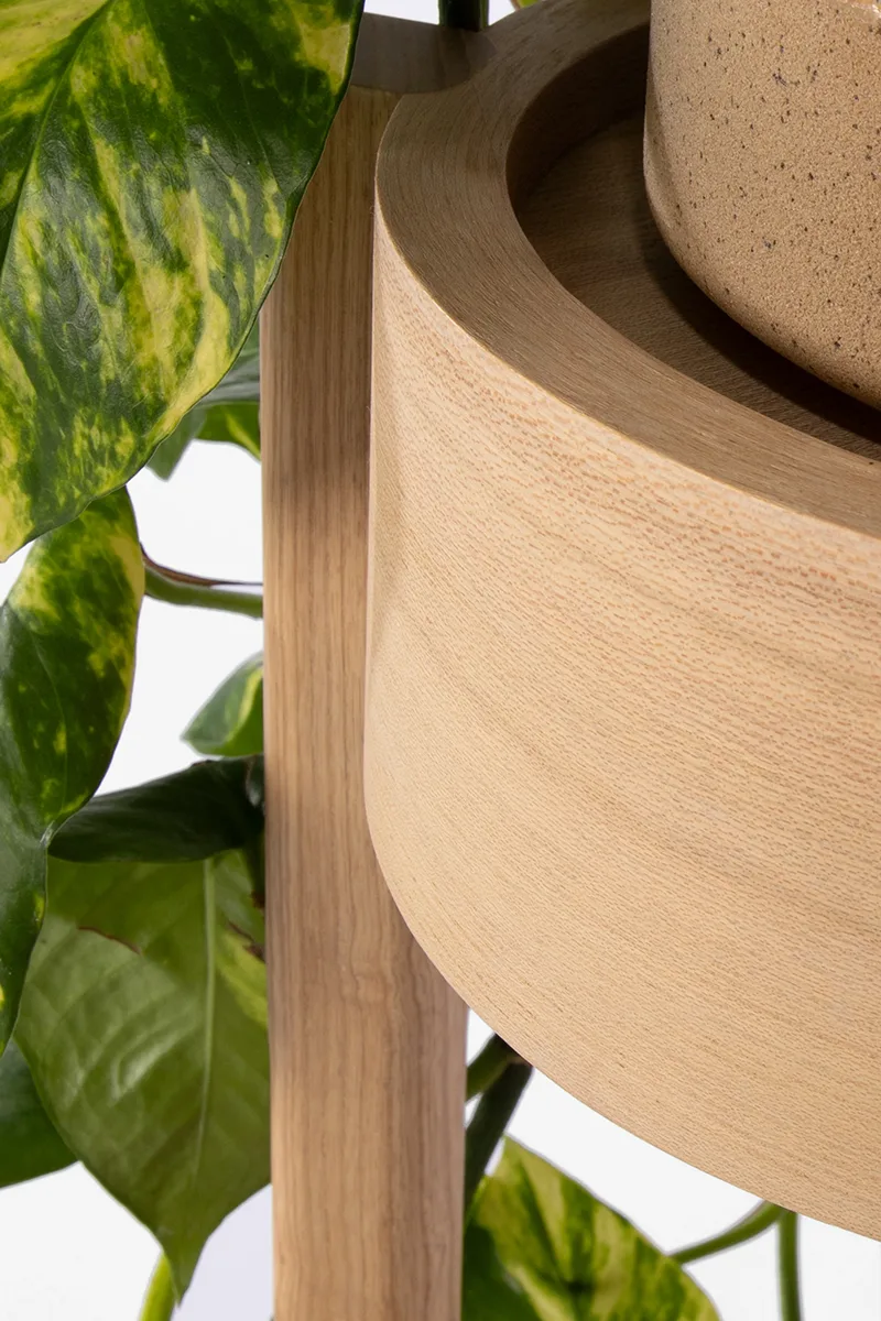 Plant Stand