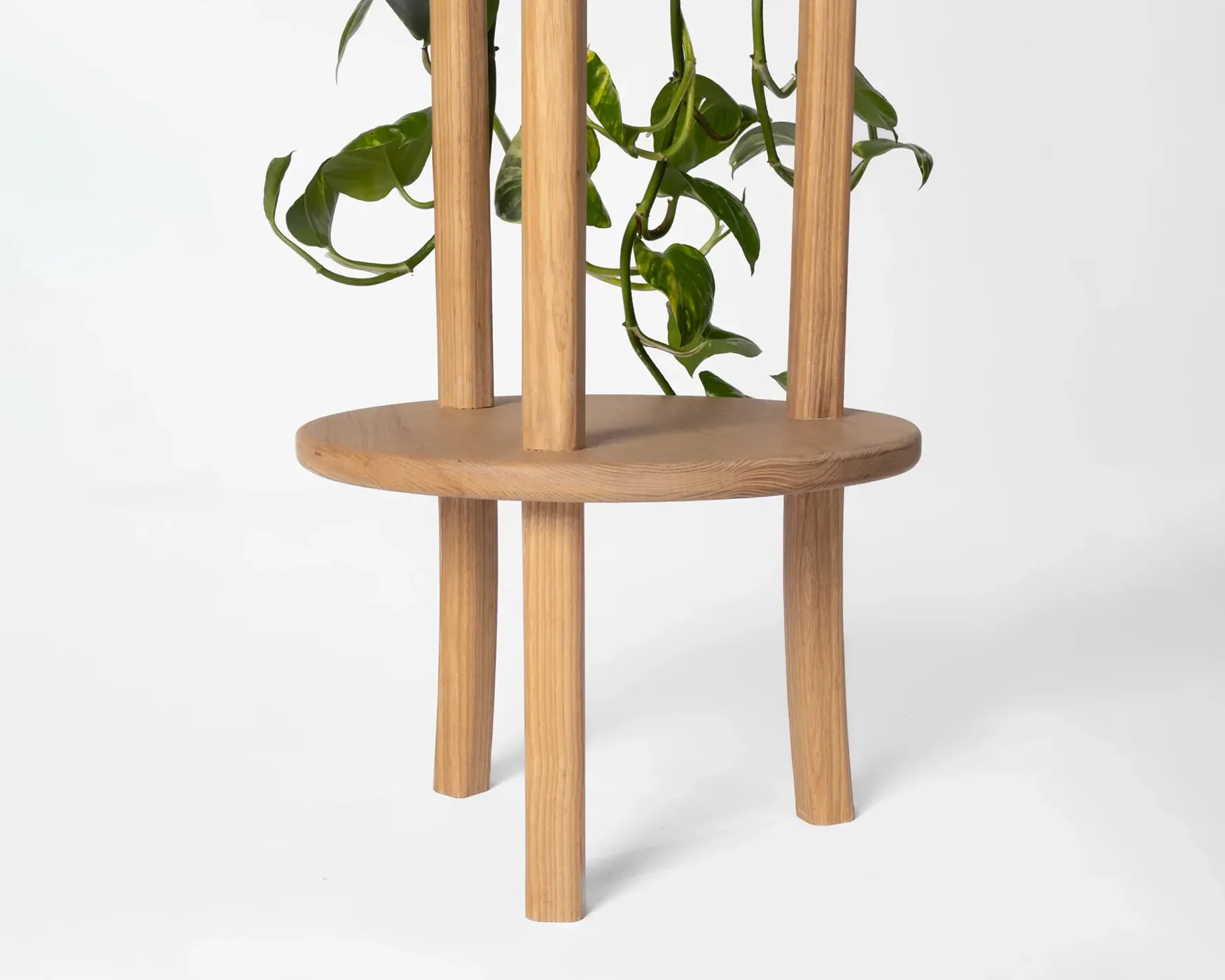 Plant Stand
