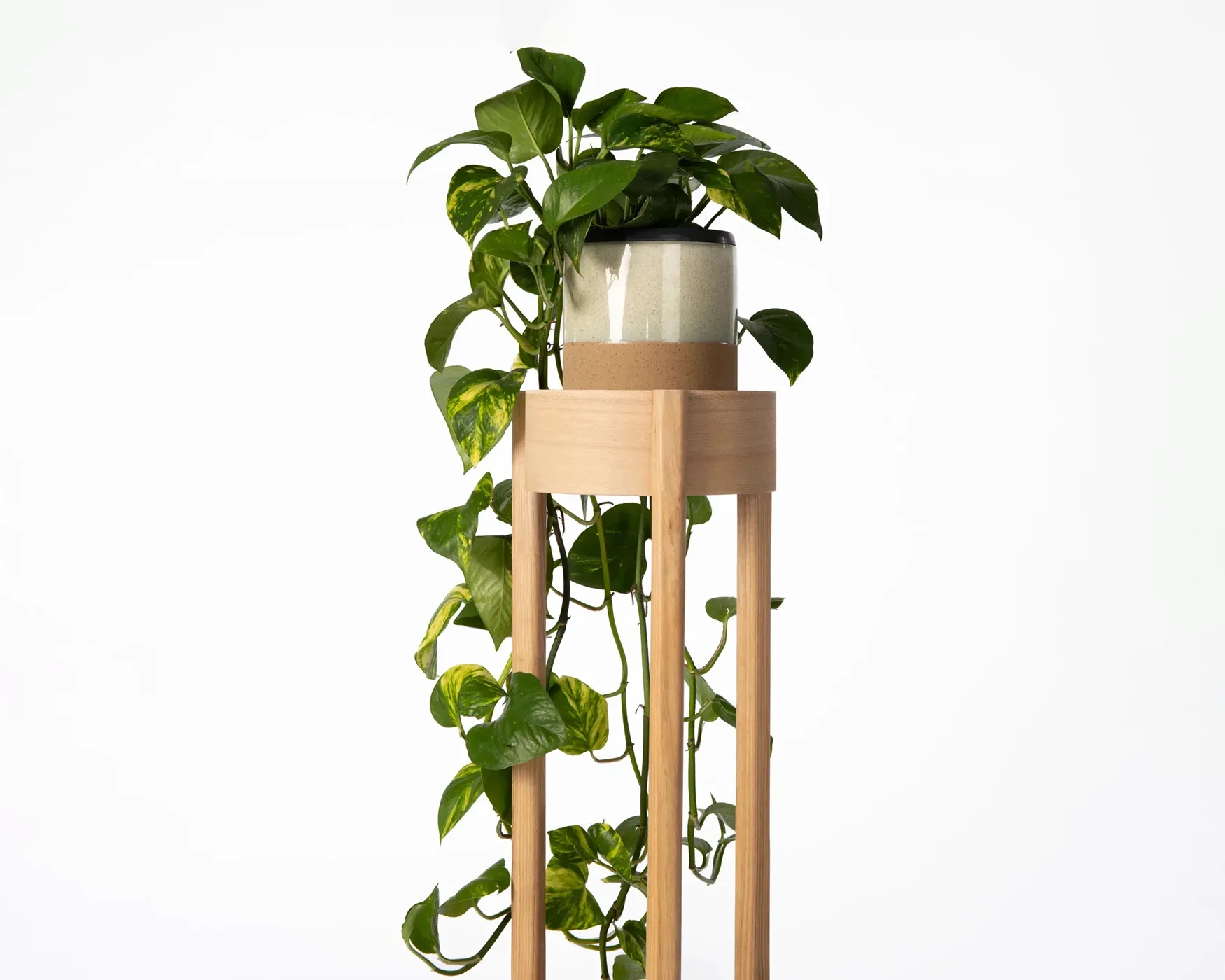 Plant Stand