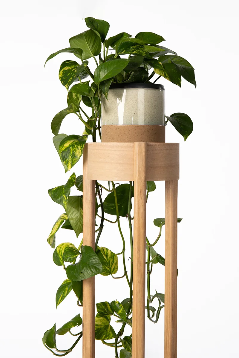 Plant Stand